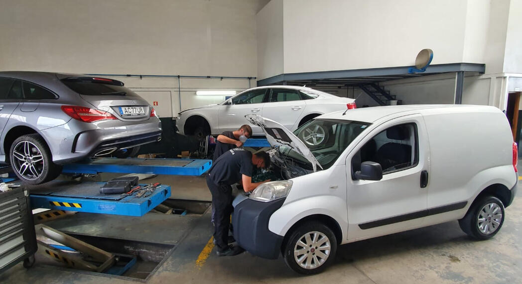 Aprendizaje práctico en un entorno profesional activo.